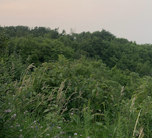 Blue Mountain in the Summer