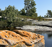 Pine Island's Georgian Bay