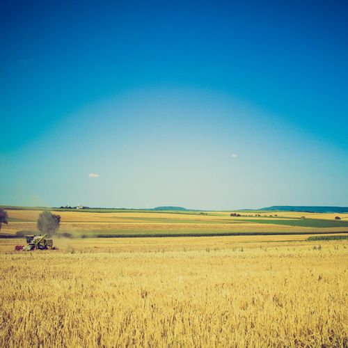 image of farmland